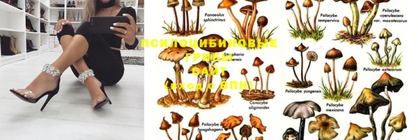 мет Арсеньев