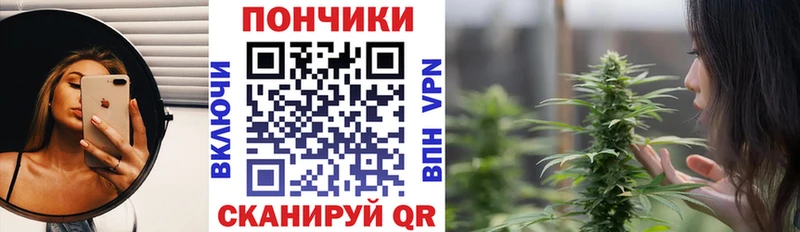 Конопля гибрид  Пучеж 